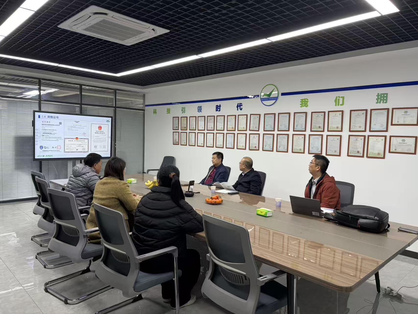 国网领导莅临考察